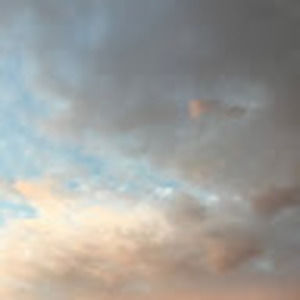 Meet your Posher, Madi haslam